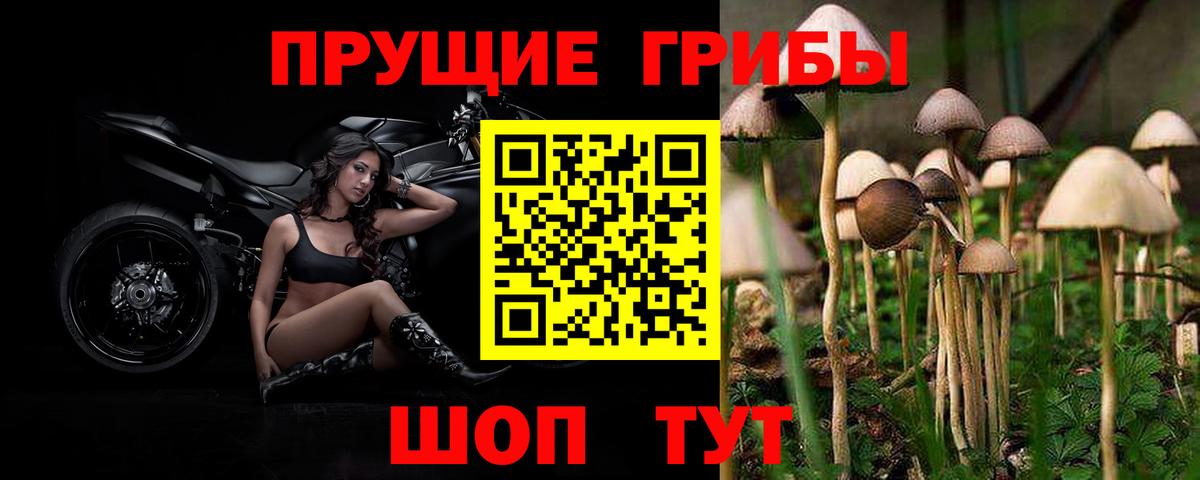 Галлюциногенные грибы Magic Shrooms  Вход с VPN  Лабытнанги 